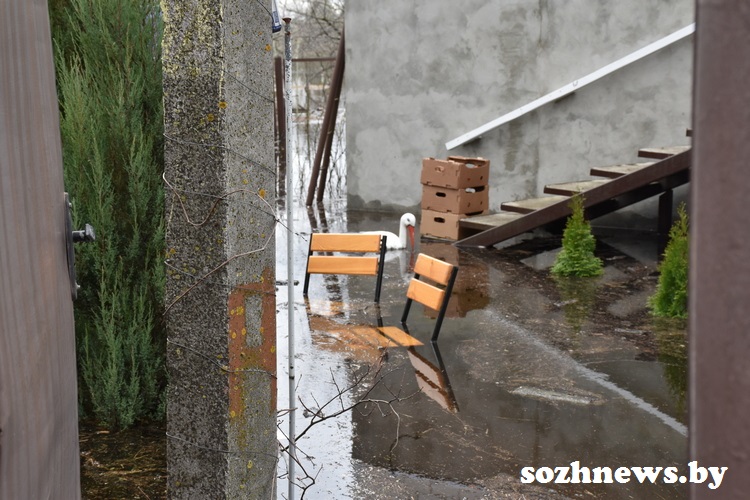 sdgderg_5.JPG
