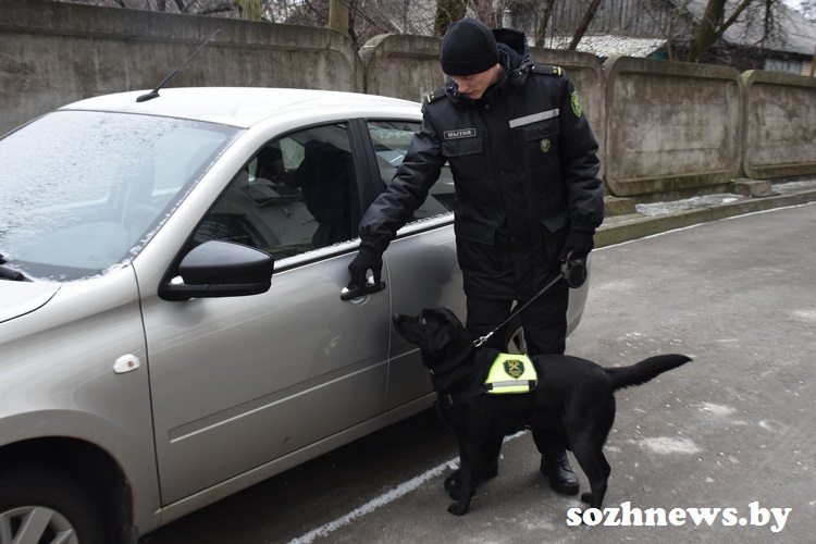 sergzsdhfr_2.JPG