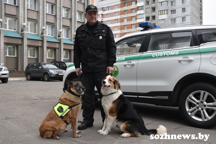 sergzsdhfr_8.JPG