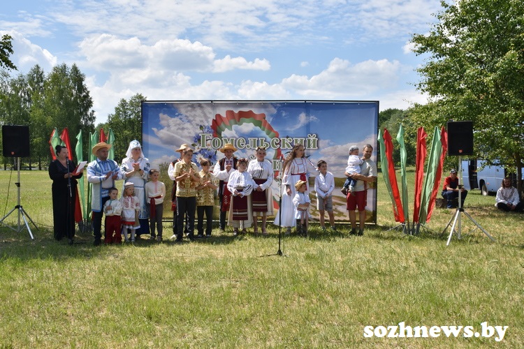 v6dsv256v56dv_6.JPG