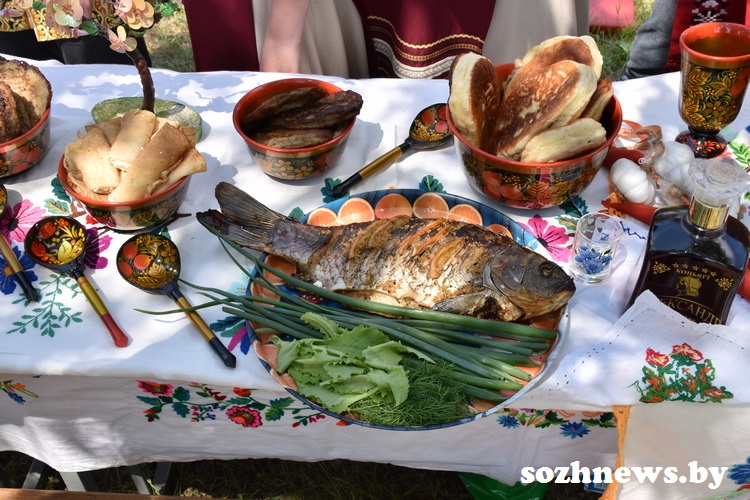 v6dsv256v56dv_9.JPG