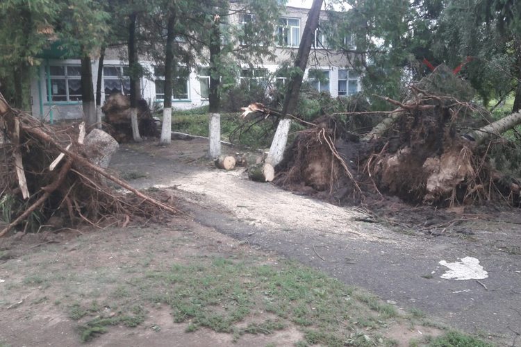 viber_image5.jpg
