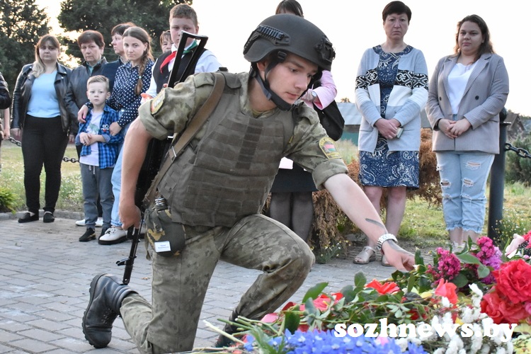 zas15.jpg