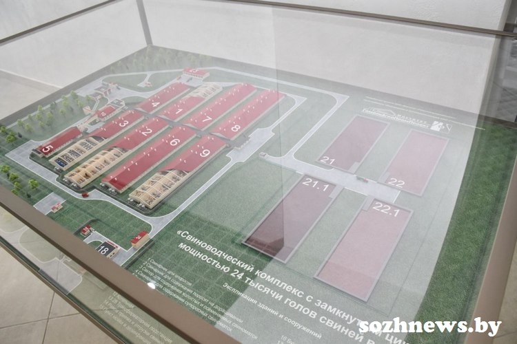 52sd4f5sdf4s5d4 (2).jpg