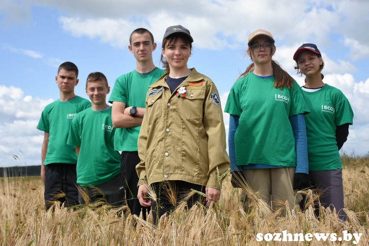 5sf454b5s4fb (4).jpg