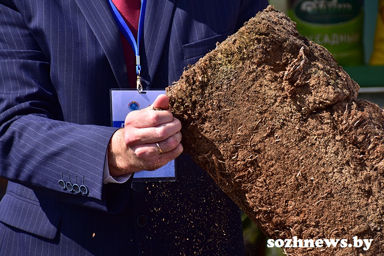 kgjdfkjgruuytriuifhjgjfh (9).JPG