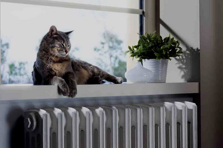 Иллюстративное фото из открытых источников.