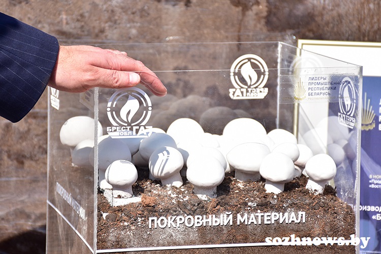 kgjdfkjgruuytriuifhjgjfh (10).JPG